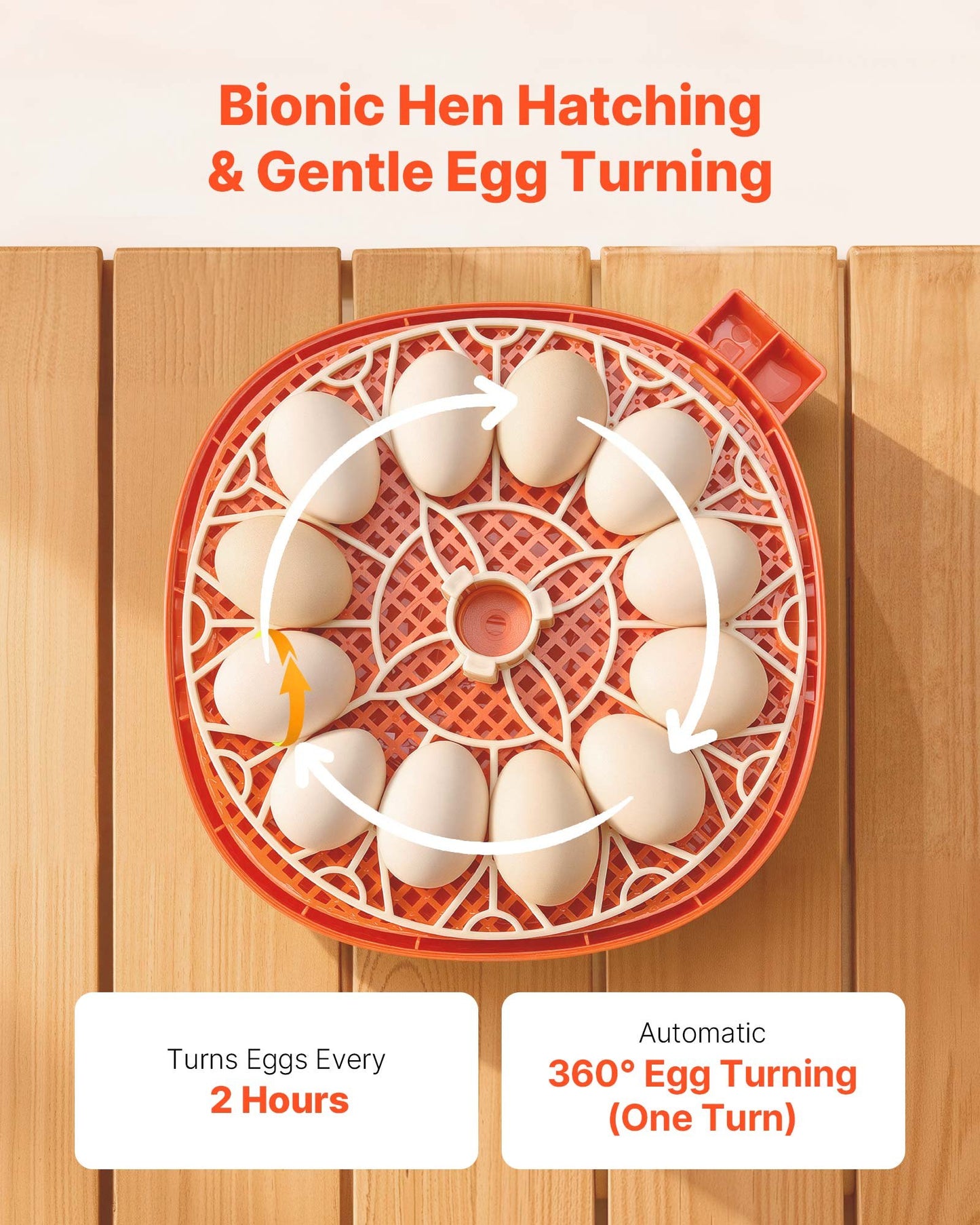 12 Egg Incubator, Automatic Egg Turner With LED Candler, Temperature & Humidity Control