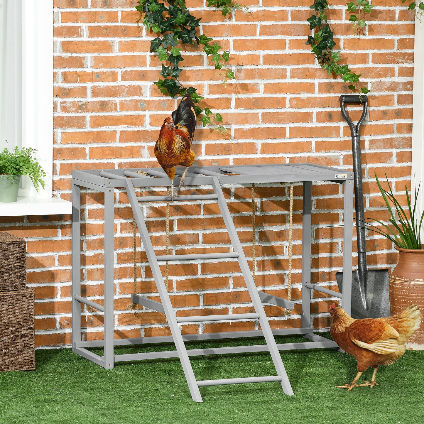 Chicken Activity Game With Swing Set