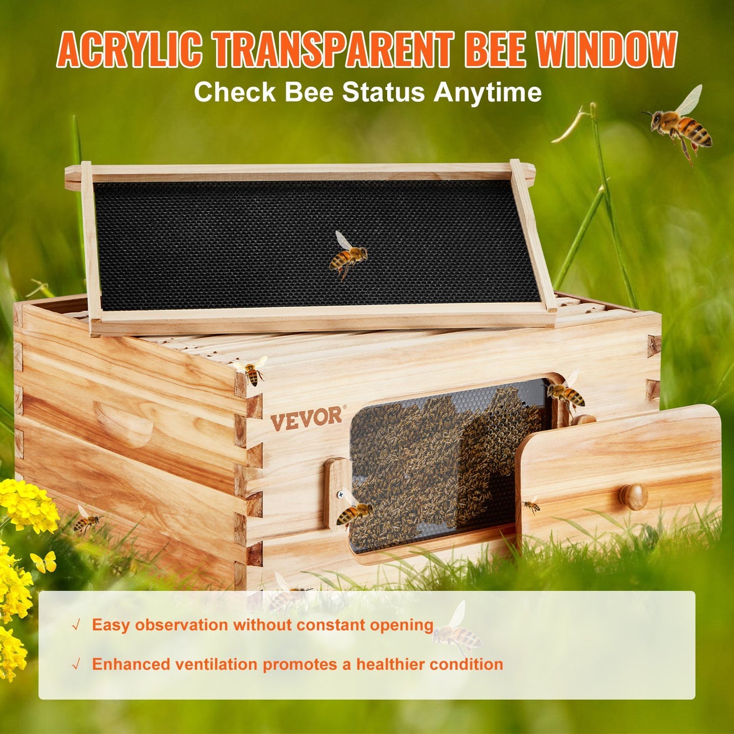 Bee Hive 10 Frame Box Starter Kit
