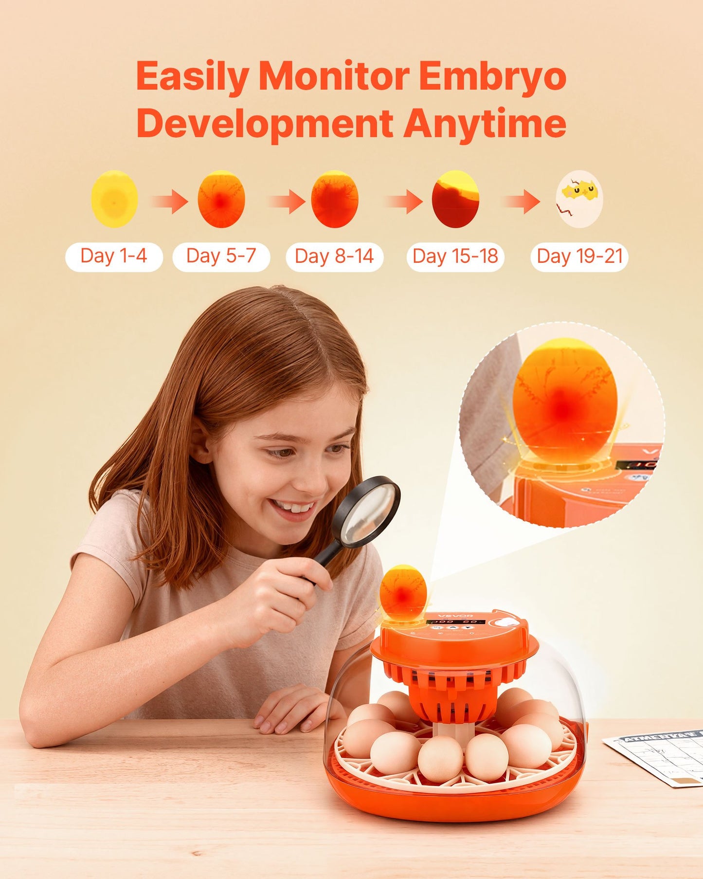 12 Egg Incubator, Automatic Egg Turner With LED Candler, Temperature & Humidity Control