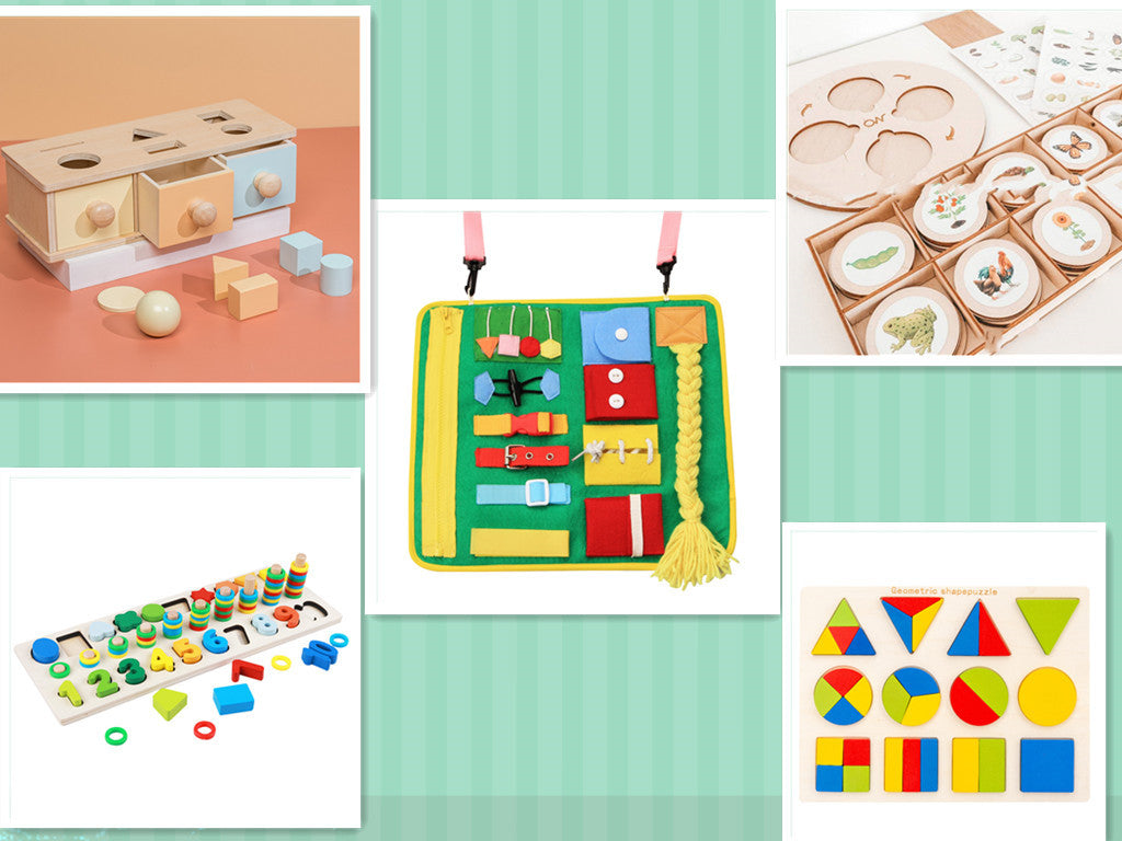 Montessori Life Cycle Tray