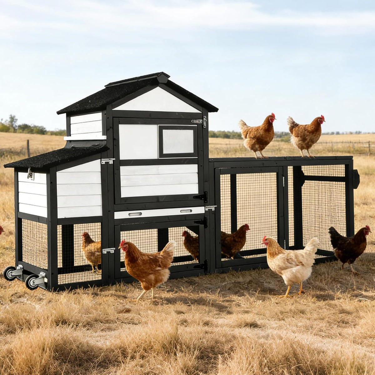 Mobile Chicken Coop with Wheels, Large Outdoor Hen House with Run for 4-6 Chickens, Weatherproof Asphalt Roof, Sanctionable Nesting Box & Pull-Out Tray, 6ft L x 2ft W x 3ft H - Black     Free K–12 Curriculum PDF Digital Download Included