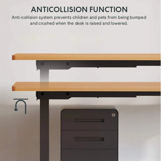 Electric Standing Desk Adjustable