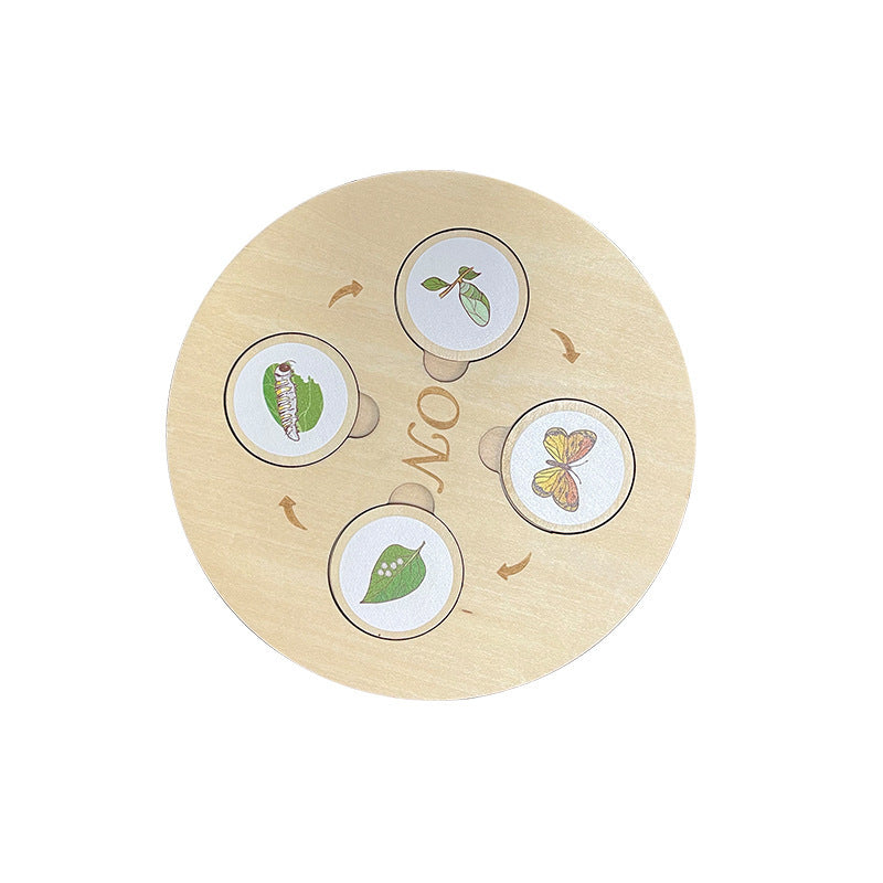 Life Cycle Educational Resource