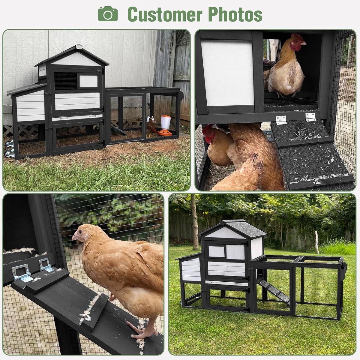 Mobile Chicken Coop with Wheels, Large Outdoor Hen House with Run for 4-6 Chickens, Weatherproof Asphalt Roof, Sanctionable Nesting Box & Pull-Out Tray, 6ft L x 2ft W x 3ft H - Black     Free K–12 Curriculum PDF Digital Download Included