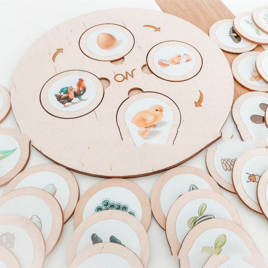 Montessori Life Cycle Tray