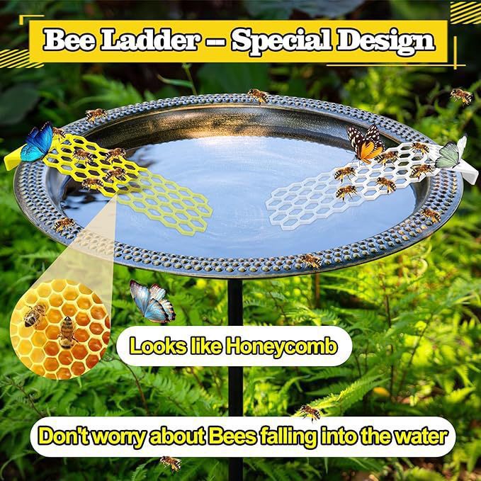 Bee Insect Drinking Water Bee Ladder Insect Floating