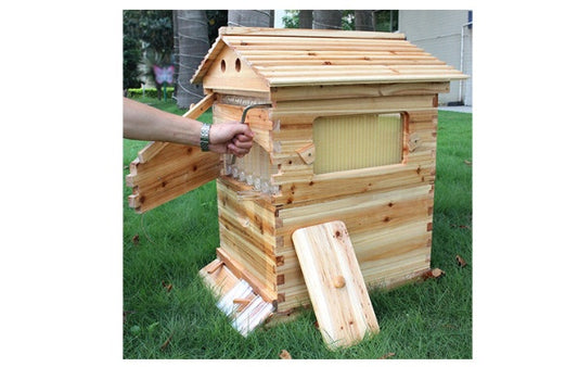 Automatic Honey And Honey Bee Spleen