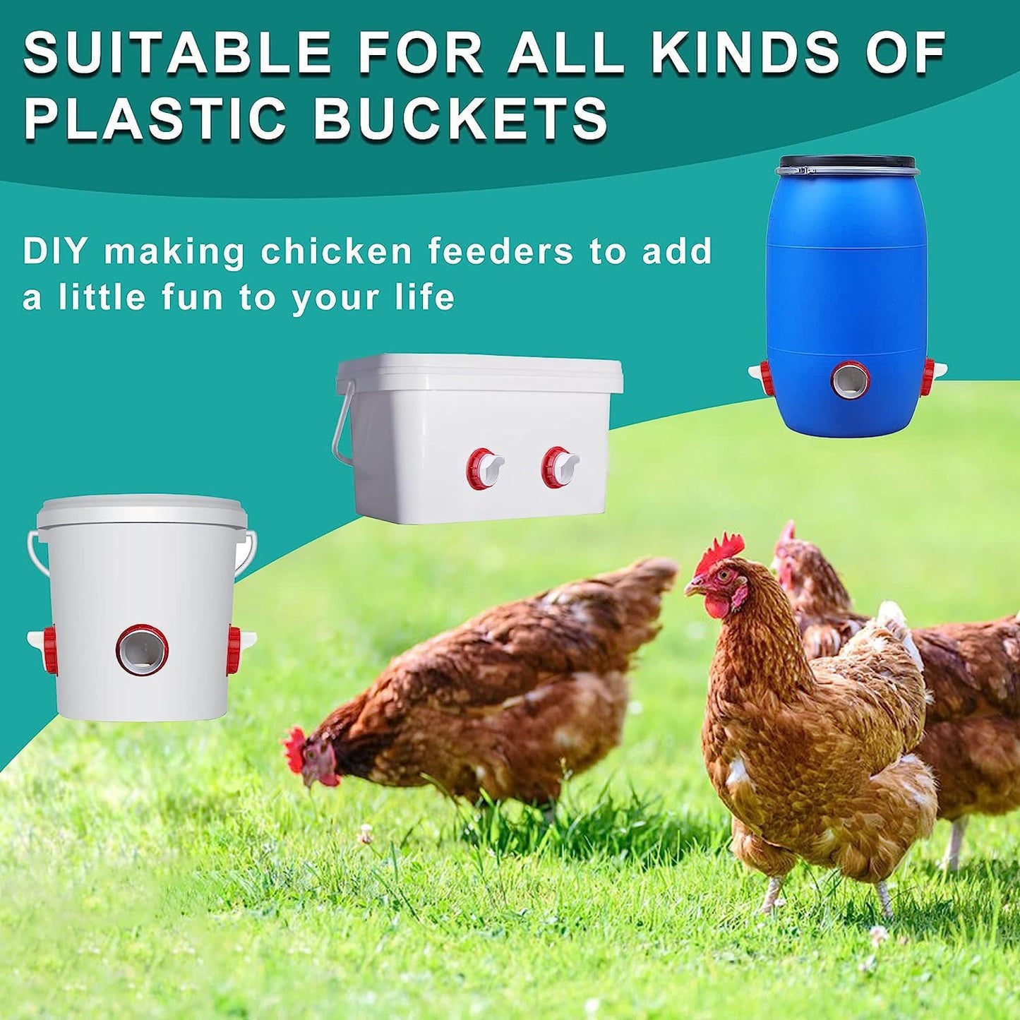 Automatic Chicken Feeder 4 Port