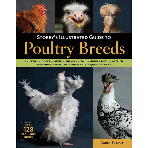 Storey's Illustrated Guide to Poultry Breeds: Chickens, Ducks, Geese, Turkeys, Emus, Guinea Fowl, Ostriches, Partridges, Peafowl, Pheasants, Quails, S