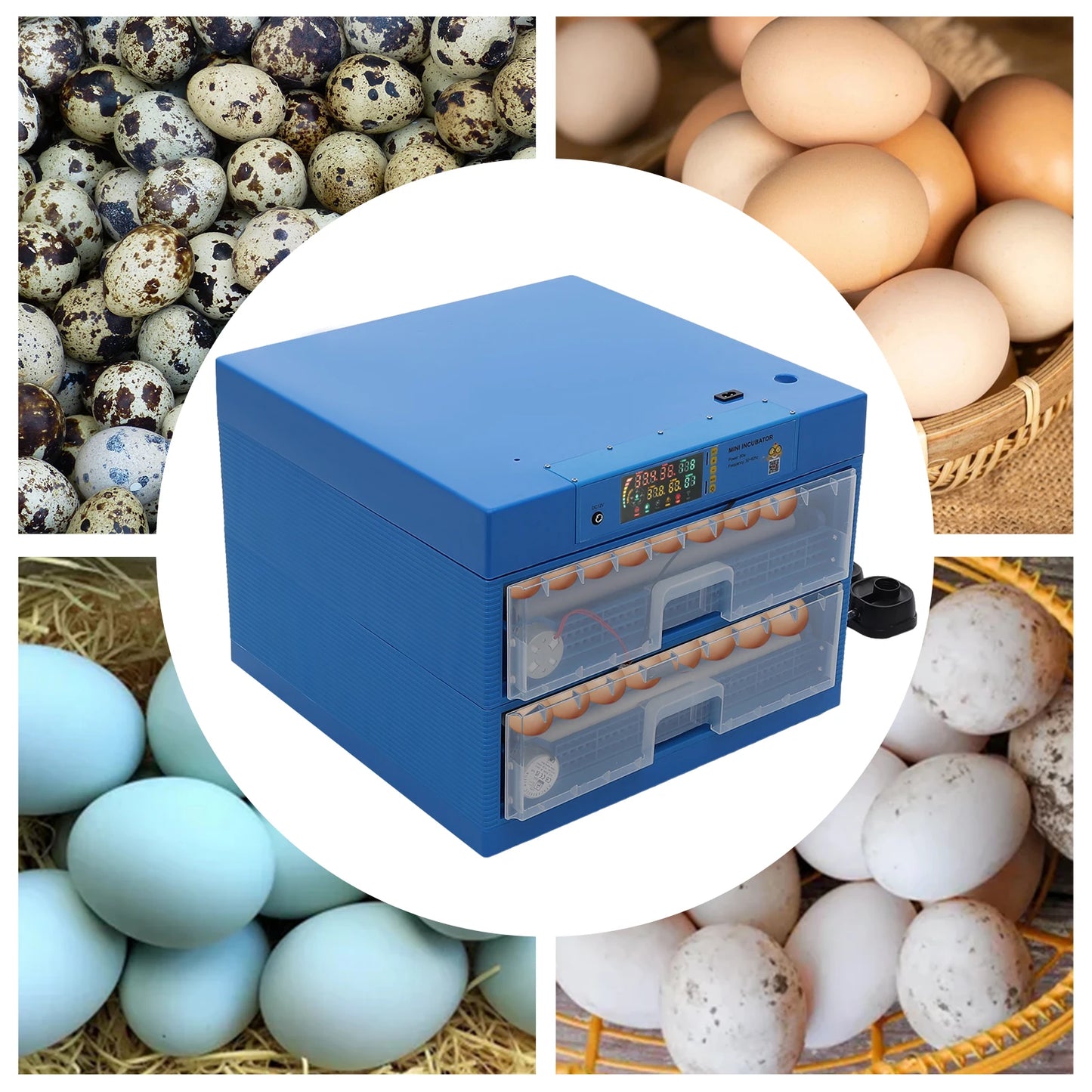 128/192 Chicken Egg Incubator With Automatic Turning & Humidity Control