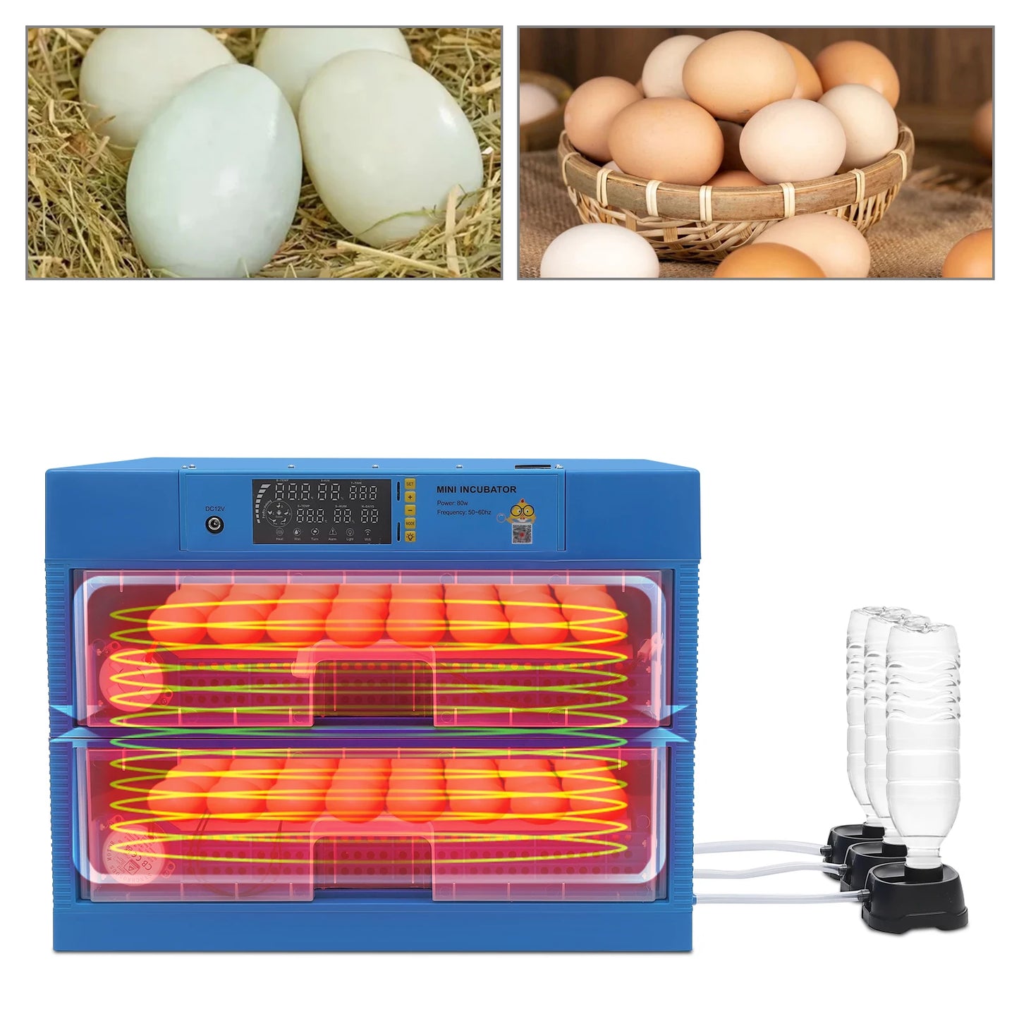 128/192 Chicken Egg Incubator With Automatic Turning & Humidity Control
