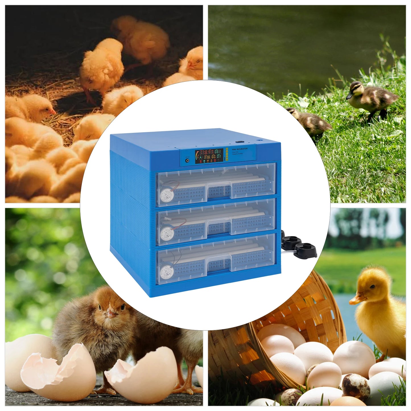 128/192 Chicken Egg Incubator With Automatic Turning & Humidity Control