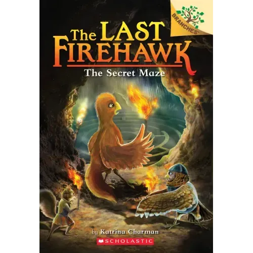 The Secret Maze: A Branches Book (the Last Firehawk #10): Volume 10