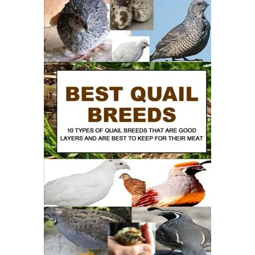 Best Quail Breeds: 10 Types Of Quail Breeds That Are Good Layers And Are Best To Keep For Their Meat