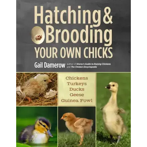 Hatching & Brooding Your Own Chicks: Chickens, Turkeys, Ducks, Geese, Guinea Fowl