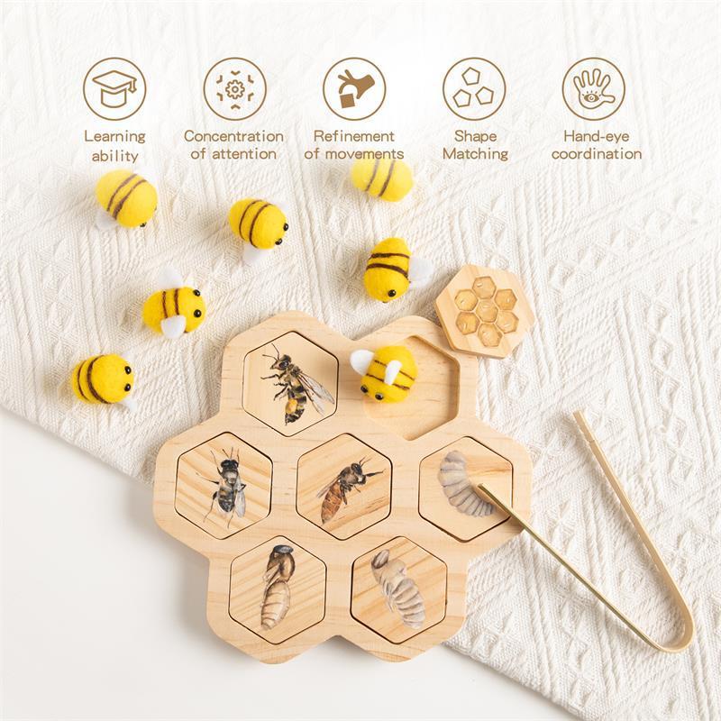 Montessori Bee Life Cycle Puzzle