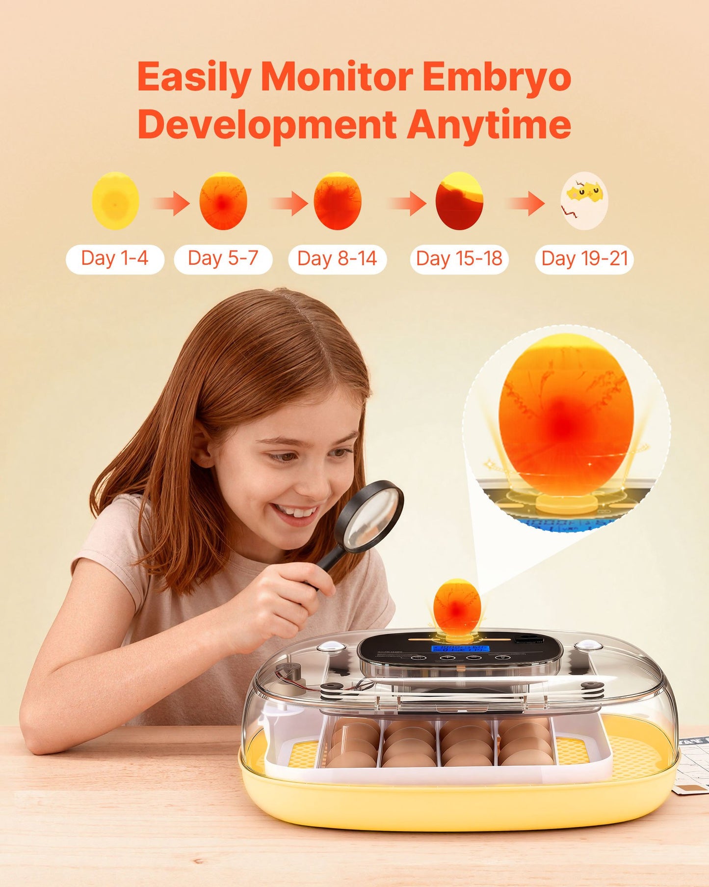 24 Egg Incubator, Automatic Egg Turner With LED Candler, Temperature & Humidity Control, 360° View Clear