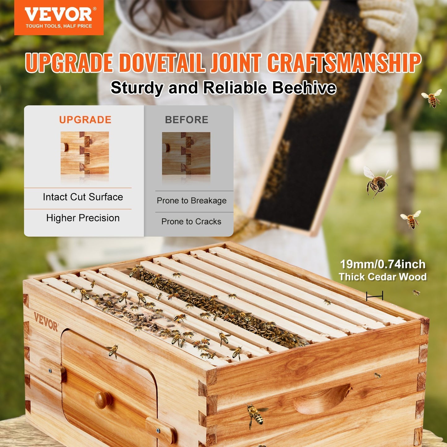 Bee Hive 10 Frame Box Starter Kit