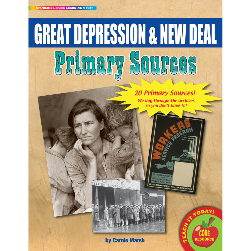 PRIMARY SOURCES GREAT DEPRESSION & NEW DEAL HISTORY BOOK