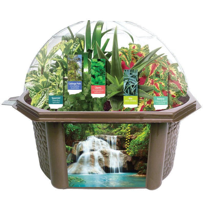 SENSORY BIOSPHERE SCIENCE KIT