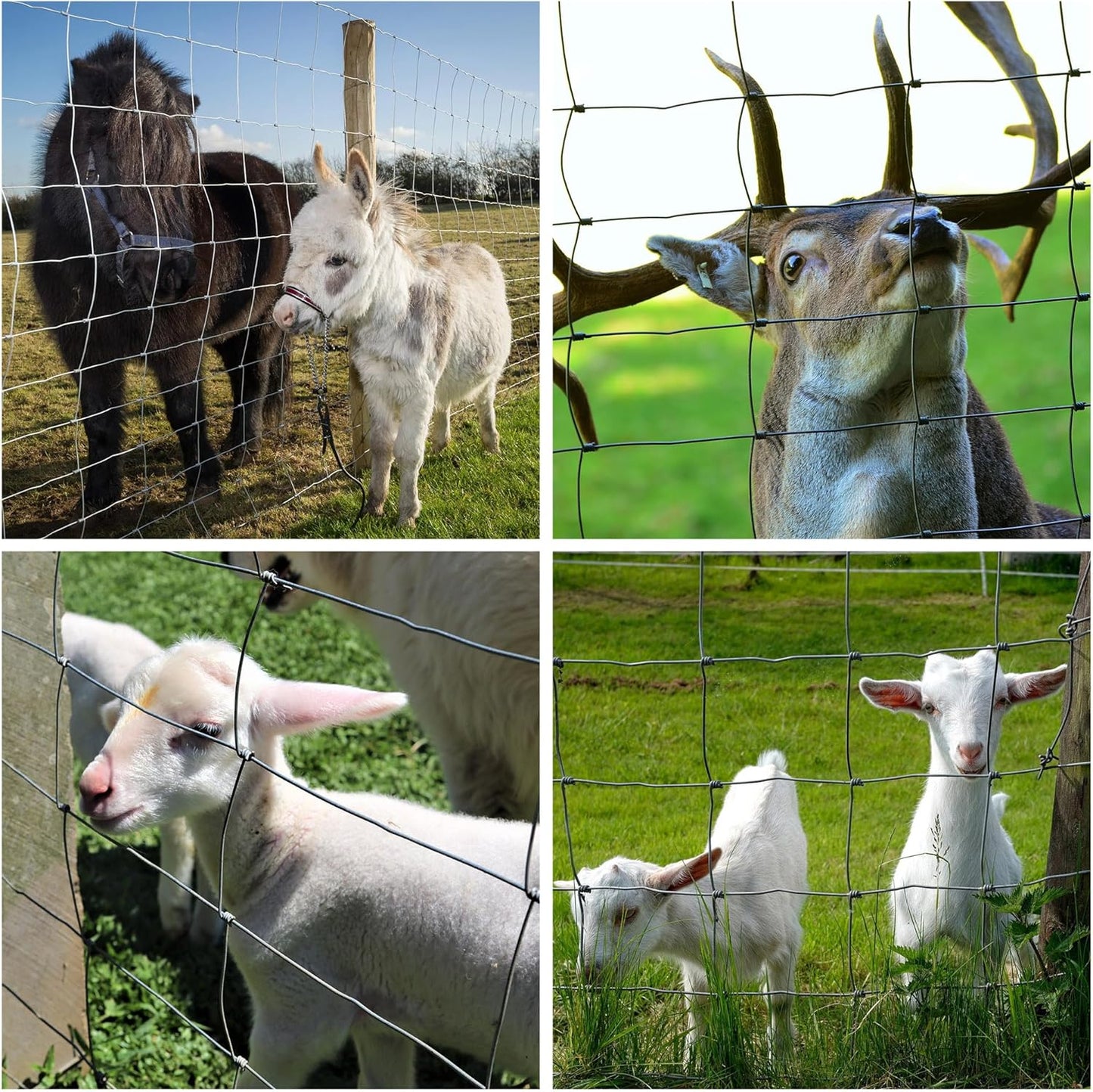 Farm Fence 5ft X 164ft 14Gauge Heavy Zinc Coating Cattle Fence,Galvanized Field Wire Fencing Deer Fence,Goat Fence,Hog