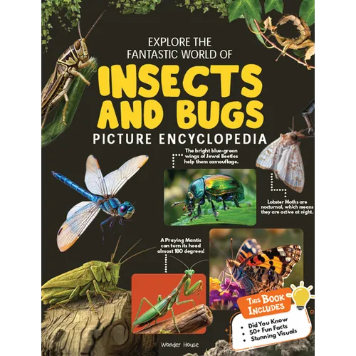 Explore Fantastic World of Insects and Bugs Picture Encyclopedia