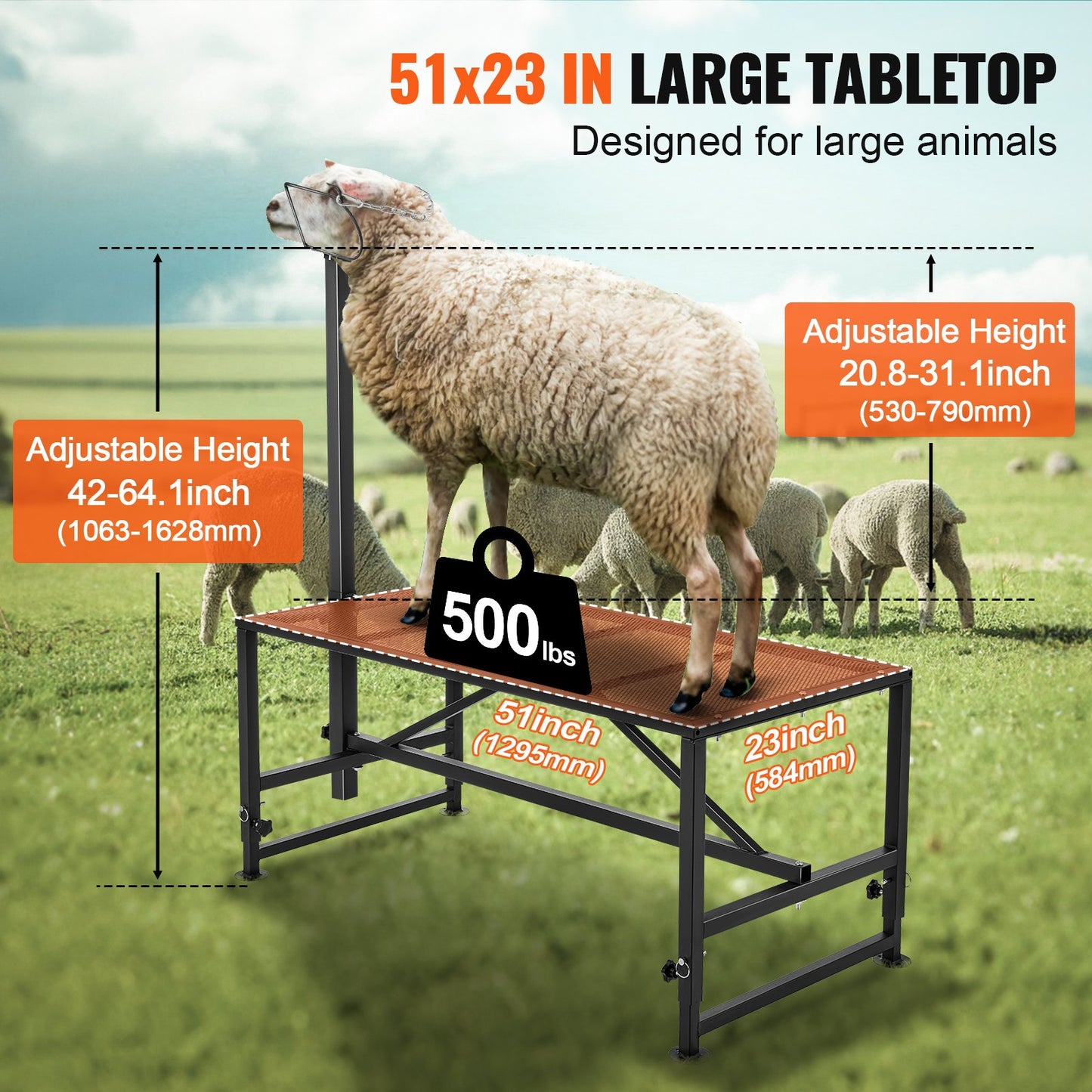 Goat & Sheep Stand, Milking Stand