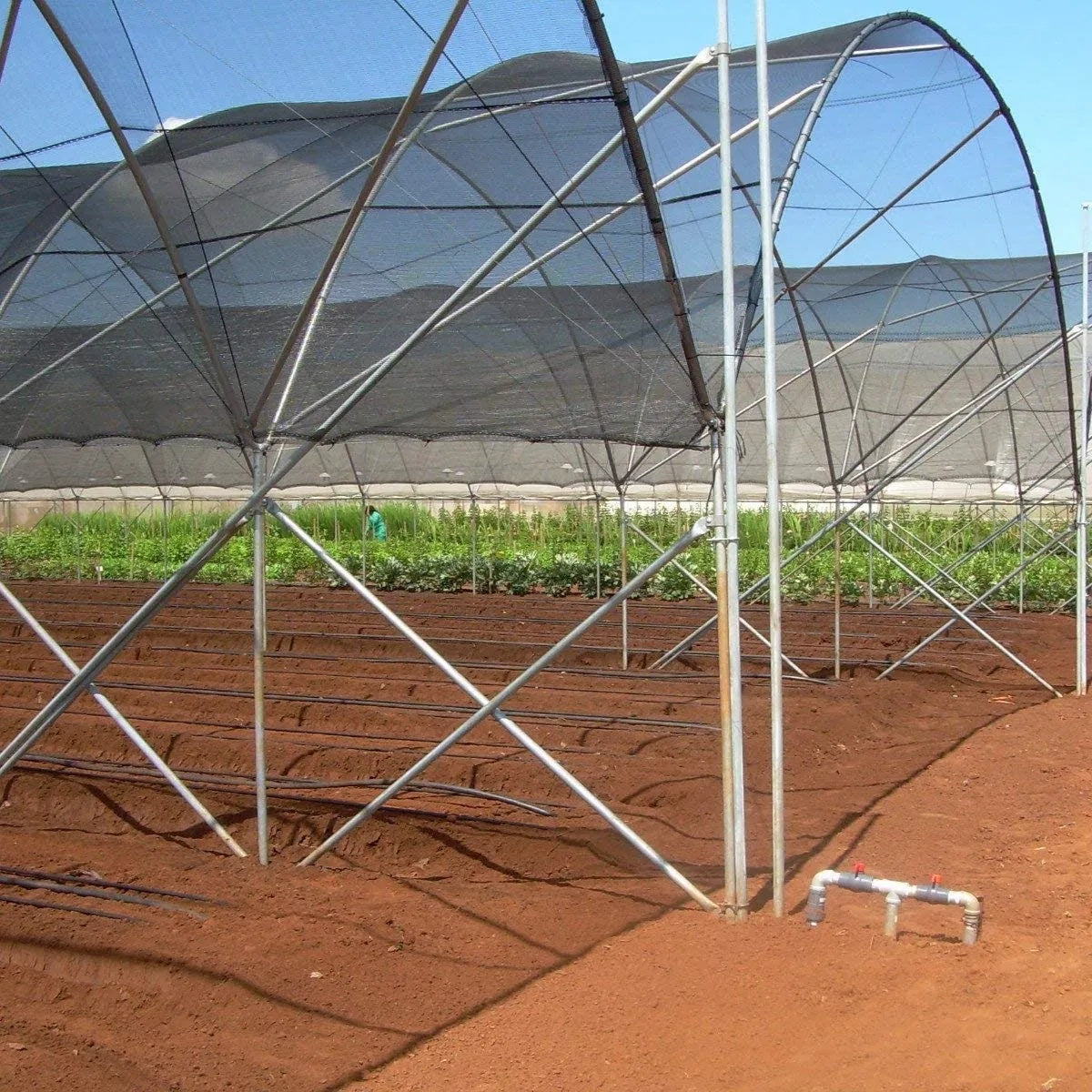 Shade Cloth Black Sunblock Fabric With Grommets UV Resistant For Garden Plants Cover