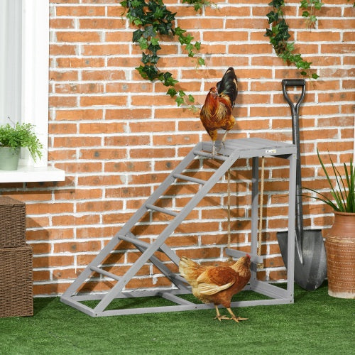 Swing Set With Chicken Perch And Hen Ladder