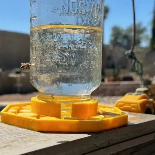 Bee Watering Plate 3D Printing Water Feeder