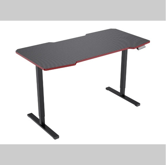 Electric Standing Desk Adjustable