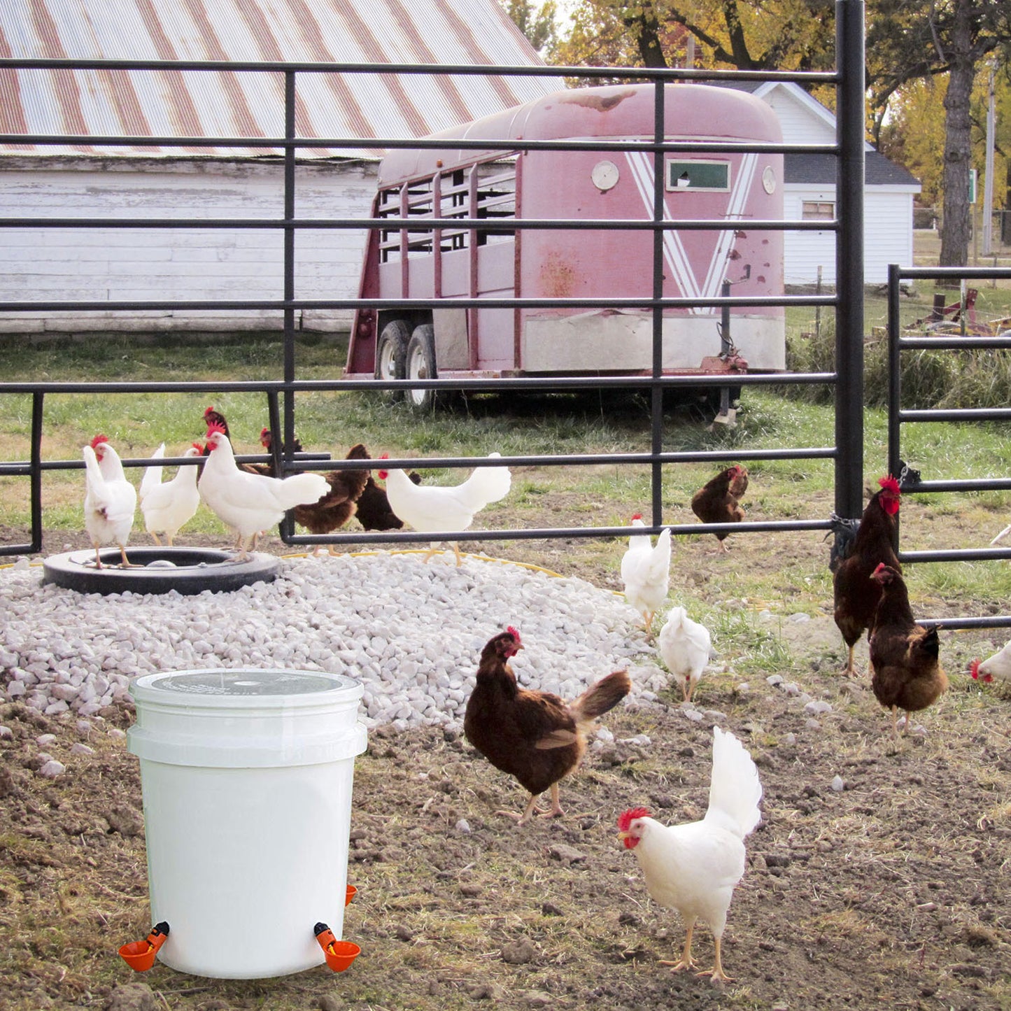 20 Pack Chicken Waterer Automatic Poultry Waterer