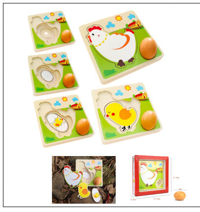 Life Cycle Educational Resource
