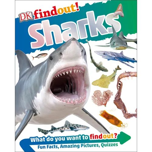 Dkfindout! Sharks