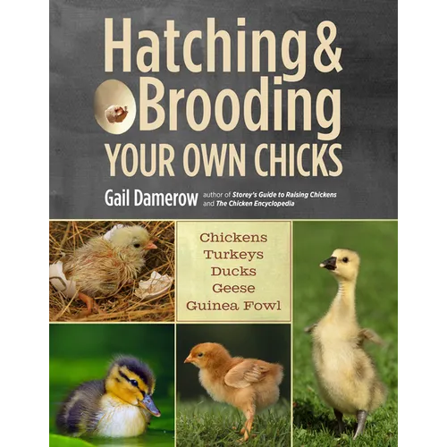 Hatching & Brooding Your Own Chicks: Chickens, Turkeys, Ducks, Geese, Guinea Fowl