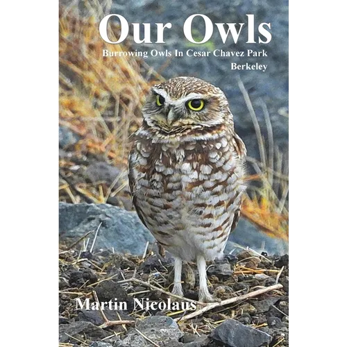 Our Owls: Burrowing Owls in Cesar Chavez Park, Berkeley