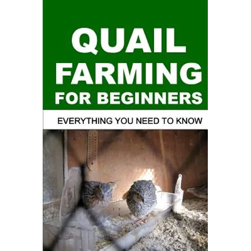 Quail Farming for Beginners: Everything You Need To Know