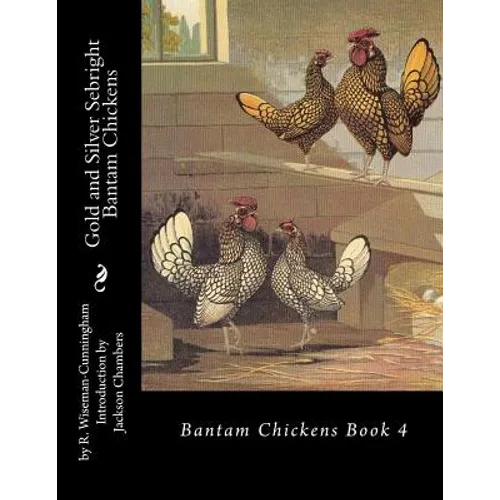 Gold and Silver Sebright Bantam Chickens
