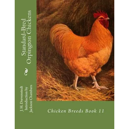 Standard-Bred Orpington Chickens: Chicken Breeds Book 11